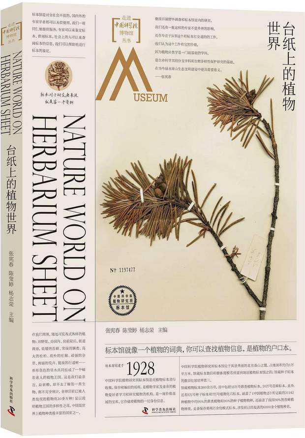 图片5.jpg-normal