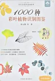 图片1